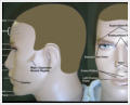 facial mapping points