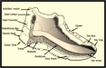 Footwear identification points