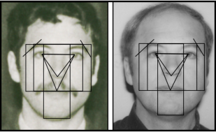 Image showing symmetry between facial mapping points
