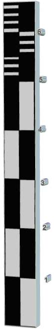 Forensic Scale Bar
